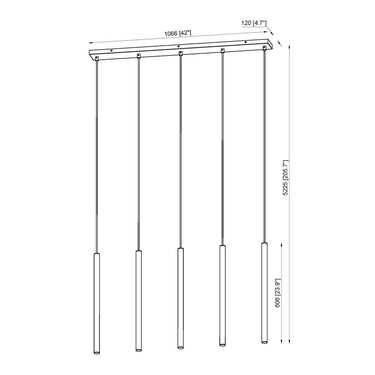 Z-Lite 23.75" High Forest 5 Light Linear Chandelier image 21