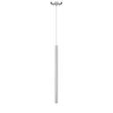 Z-Lite 24" High Forest 1 Light Pendant image 5