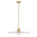 Z-Lite 24" Paloma 1 Light Pendant image 2