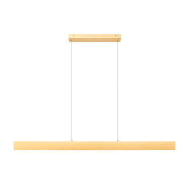 Z-Lite 55" Long Hudson 1 Light Linear Chandelier image 4