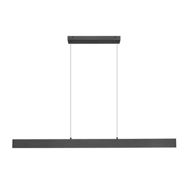 Z-Lite 55" Long Hudson 1 Light Linear Chandelier image 5