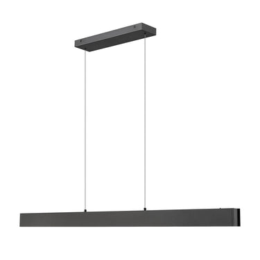 Z-Lite 55" Long Hudson 1 Light Linear Chandelier image 8
