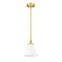 Z-Lite 8" Fleur 1 Light Pendant image 14