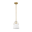 Z-Lite 8" Z-Studio Metal 1 Light Pendant image 19
