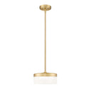Z-Lite 9.25" Renaud 1 Light Pendant image 1