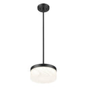 Z-Lite 9.25" Renaud 1 Light Pendant image 2