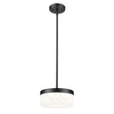 Z-Lite 9.25" Renaud 1 Light Pendant image 4