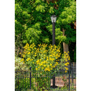 Z-Lite 9.75" Talbot 1 Light Outdoor Post Mounted Fixture image 6