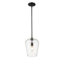 Z-Lite 9" Joliet 1 Light Pendant image 13