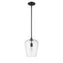 Z-Lite 9" Joliet 1 Light Pendant image 23