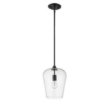 Z-Lite 9" Joliet 1 Light Pendant image 23