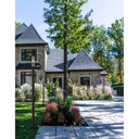 Z-Lite 93" High Helix 1 Light Outdoor Post Mounted Fixture image 5