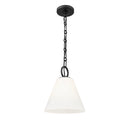 Z Lite Alaric 1 Light 10" Pendant 1