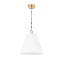 Z Lite Alaric 1 Light 15" Pendant 12