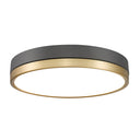 Z Lite Algar 1 Light Flush Mount 22