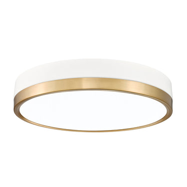 Z Lite Algar 1 Light Flush Mount 36