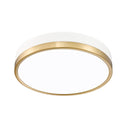 Z Lite Algar 1 Light Flush Mount 38