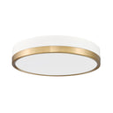 Z Lite Algar 1 Light Flush Mount 40