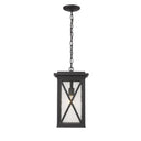 Z Lite Almet 1 Light Outdoor Chain Mount Ceiling Fixture in Black Finish 1