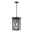 Z Lite Almet 1 Light Outdoor Chain Mount Ceiling Fixture in Black Finish 