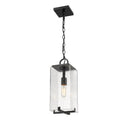 Z Lite Almet 1 Light Outdoor Chain Mount Ceiling Fixture in Clear Seedy Shade 1
