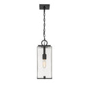 Z Lite Almet 1 Light Outdoor Chain Mount Ceiling Fixture in Clear Seedy Shade 2