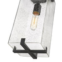Z Lite Almet 1 Light Outdoor Chain Mount Ceiling Fixture in Clear Seedy Shade 3