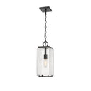 Z Lite Almet 1 Light Outdoor Chain Mount Ceiling Fixture in Clear Seedy Shade 