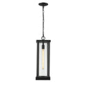 Z Lite Almet 1 Light Outdoor Chain Mount Ceiling Fixture in Clear Shade 2
