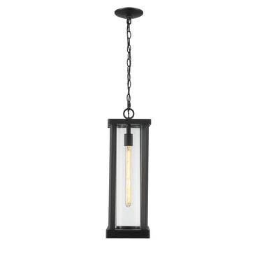 Z Lite Almet 1 Light Outdoor Chain Mount Ceiling Fixture in Clear Shade 2