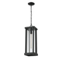 Z Lite Almet 1 Light Outdoor Chain Mount Ceiling Fixture in Clear Shade 4