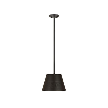 Z-Lite Almet 12" 1 Light Pendant in Matte Black 1