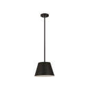 Z-Lite Almet 12" 1 Light Pendant in Matte Black 4