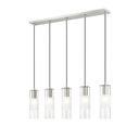 Z Lite Alton 5 Light Linear Chandelier 