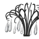Z Lite Amara 6 Light Chandelier 11