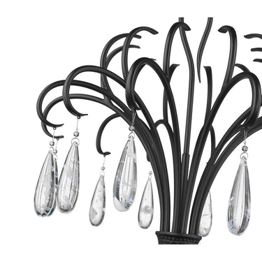 Z Lite Amara 6 Light Chandelier 11
