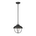 Z Lite Ansel 1 Light Outdoor Pendant 2