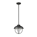 Z Lite Ansel 1 Light Outdoor Pendant 4