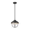 Z Lite Ansel 1 Light Outdoor Pendant 