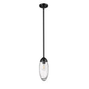 Z Lite Arden 1 Light 11" Pendant 12