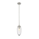 Z Lite Arden 1 Light 11" Pendant 2