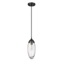 Z Lite Arden 1 Light 12" Pendant 12