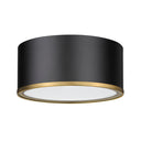 Z Lite Arlo 2 Light Flush Mount 12