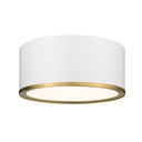 Z Lite Arlo 2 Light Flush Mount 22
