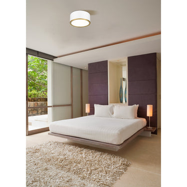 Z Lite Arlo 2 Light Flush Mount 27