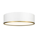 Z Lite Arlo 4 Light Flush Mount 18
