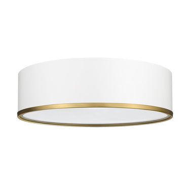 Z Lite Arlo 4 Light Flush Mount 22