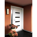 Z Lite Baden 1 Light 12" High Outdoor Wall Light 6
