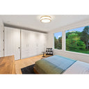 Z Lite Ballord 24W 1 Light 3" High Flush Mount 14