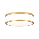 Z Lite Ballord 24W 1 Light 3" High Flush Mount 8